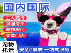 长春龙嘉国际宠物托运 【国